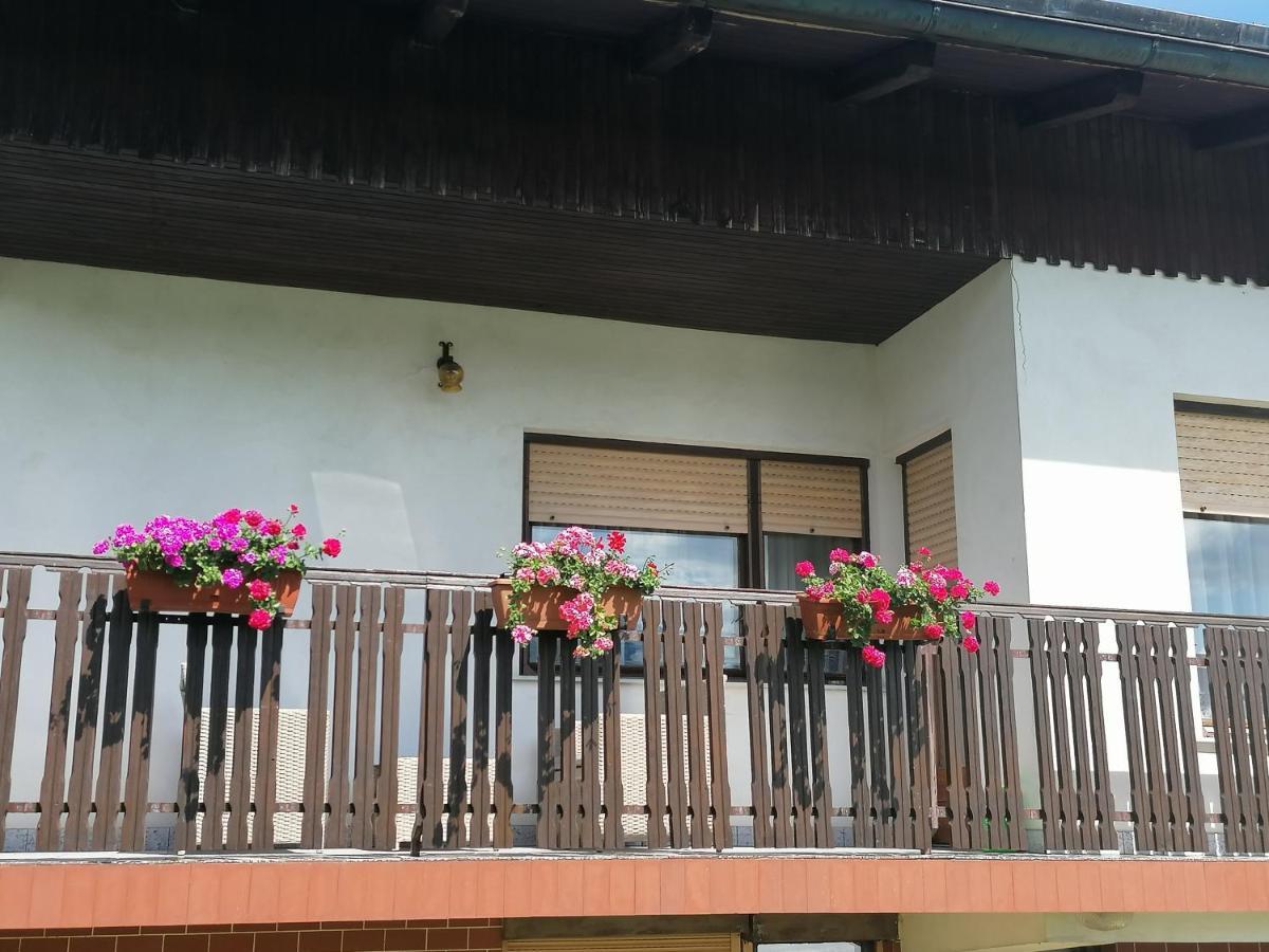 Apartments Novak Ljubno Εξωτερικό φωτογραφία
