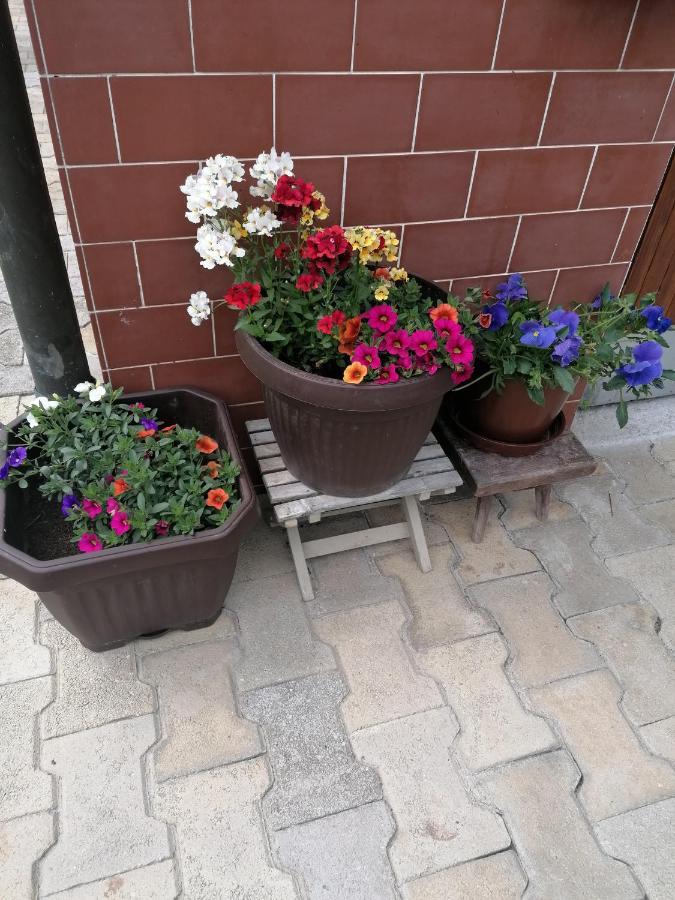 Apartments Novak Ljubno Εξωτερικό φωτογραφία
