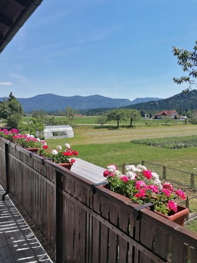 Apartments Novak Ljubno Εξωτερικό φωτογραφία