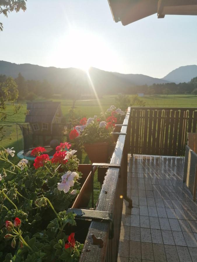 Apartments Novak Ljubno Εξωτερικό φωτογραφία