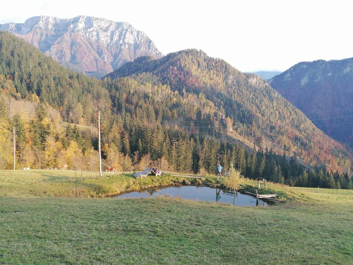 Apartments Novak Ljubno Εξωτερικό φωτογραφία