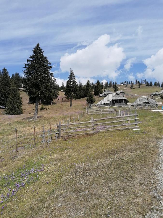 Apartments Novak Ljubno Εξωτερικό φωτογραφία