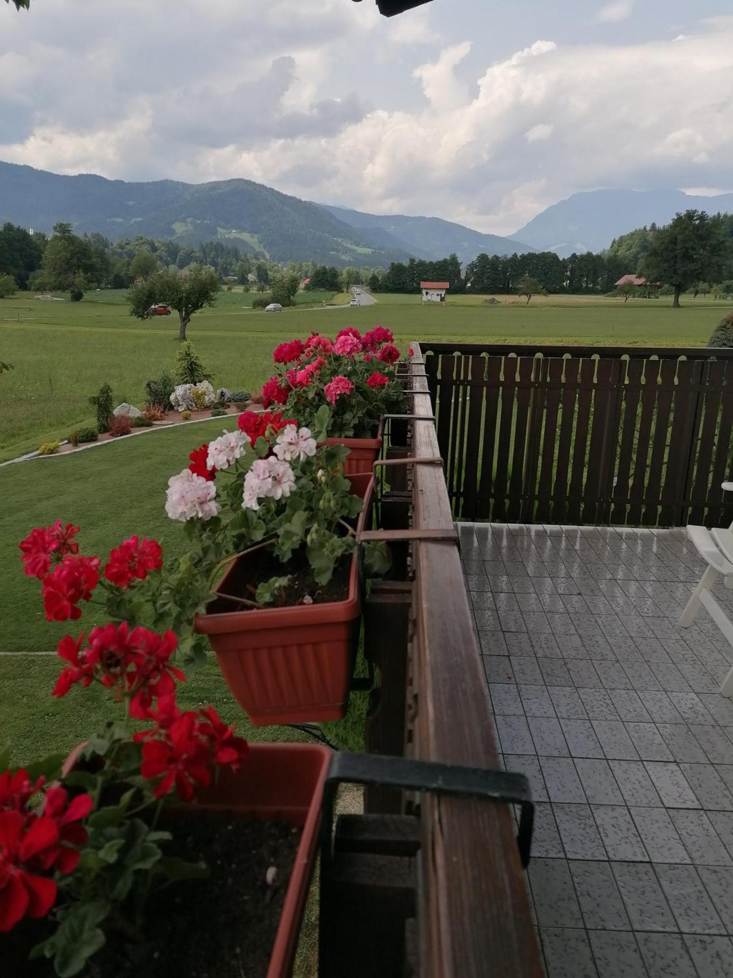 Apartments Novak Ljubno Εξωτερικό φωτογραφία