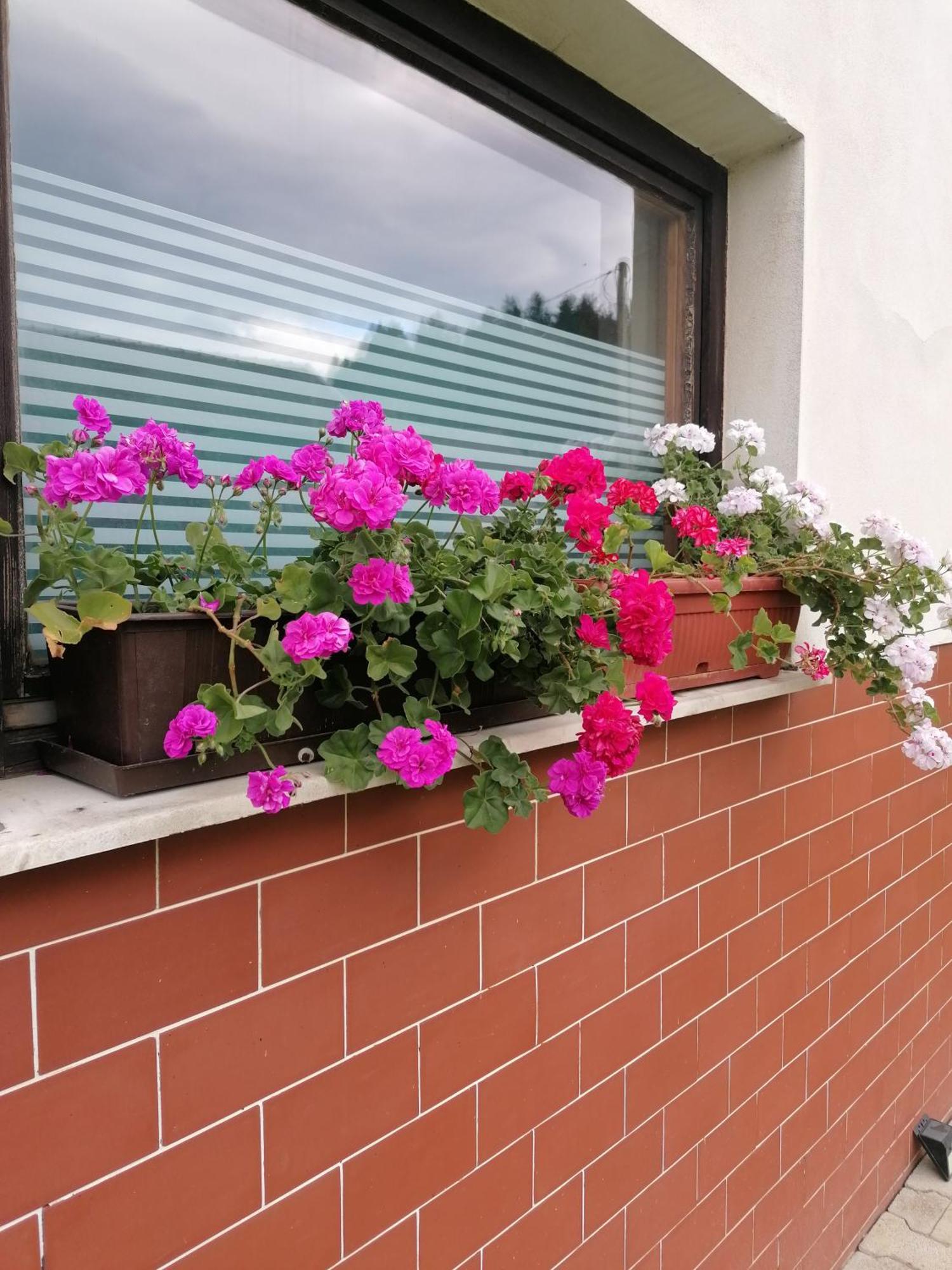 Apartments Novak Ljubno Εξωτερικό φωτογραφία